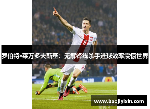 罗伯特·莱万多夫斯基：无解锋线杀手进球效率震惊世界