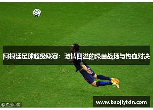 阿根廷足球超级联赛：激情四溢的绿茵战场与热血对决